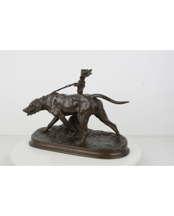 Chien limier à l'attache