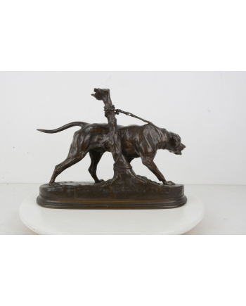 Chien limier à l'attache