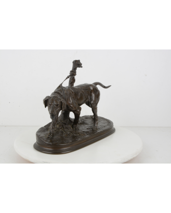 Chien limier à l'attache