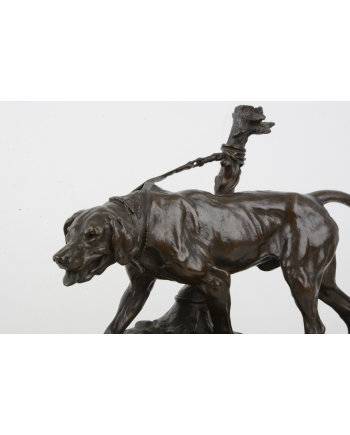 Chien limier à l'attache
