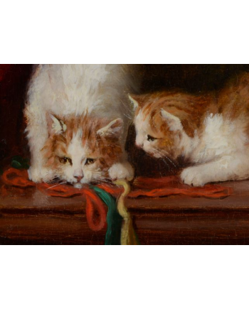 Chatons aux pelotes de laine