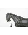 Le cheval qui tape - de Minvielle