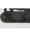 Le cheval qui tape - de Minvielle