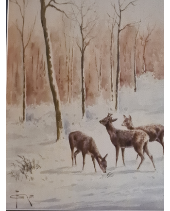 Chevreuils dans la neige - F. Girot