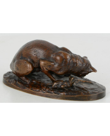Chatte et chatons - Cl. Masson