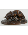 Chatte et chatons - Cl. Masson