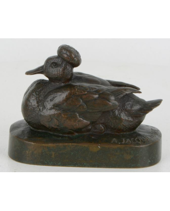 Canard huppé - A. Jacquemart