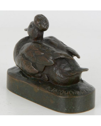 Canard huppé - A. Jacquemart