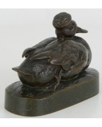 Canard huppé - A. Jacquemart