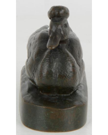 Canard huppé - A. Jacquemart