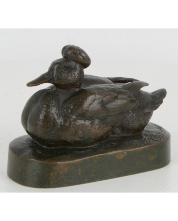Canard huppé - A. Jacquemart