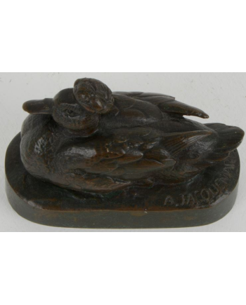 Canard huppé - A. Jacquemart
