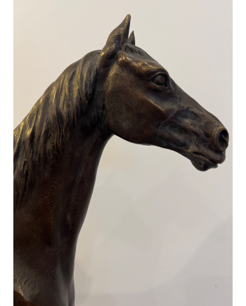 Jument Cobesse -H. Regnouf de Vains