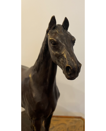 Jument Cobesse -H. Regnouf de Vains