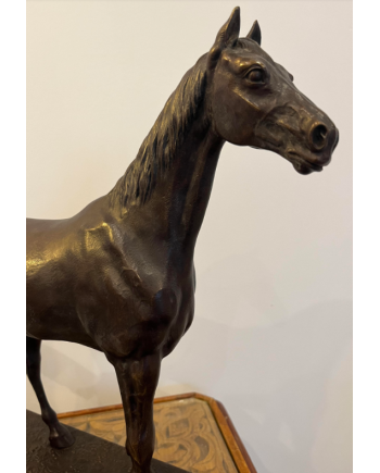 Jument Cobesse -H. Regnouf de Vains