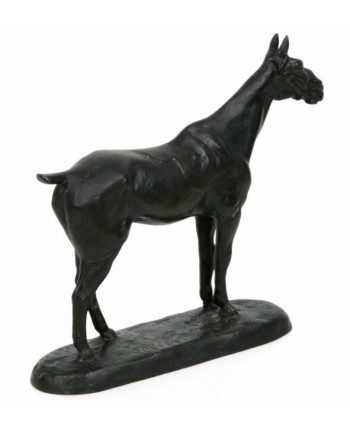 Colibri - Gaston d'Illiers