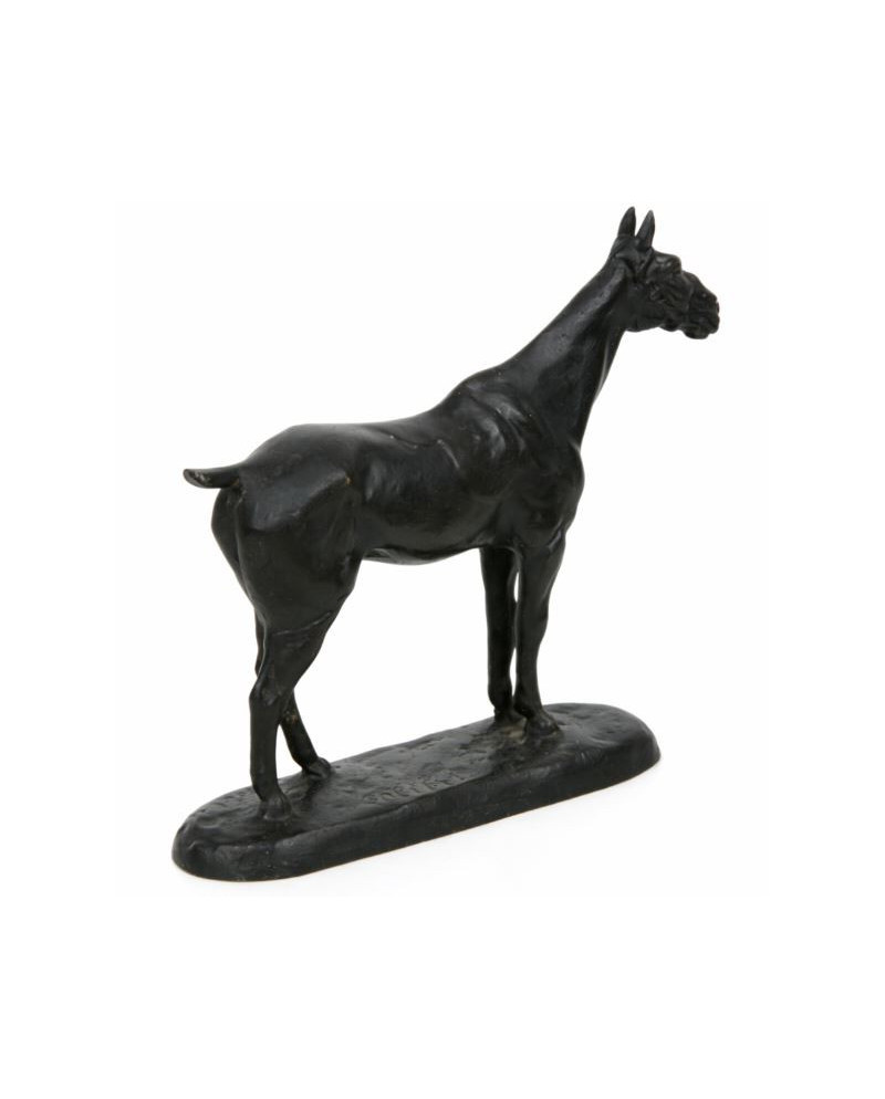 Colibri - Gaston d'Illiers