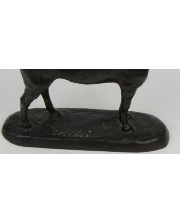 Colibri - Gaston d'Illiers