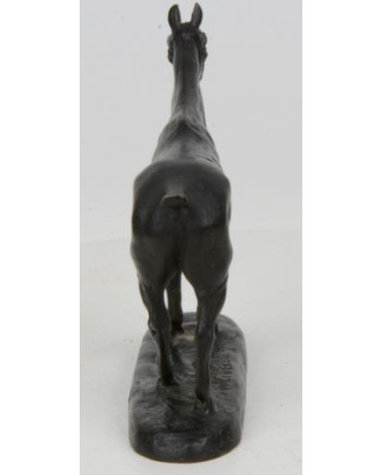 Colibri - Gaston d'Illiers