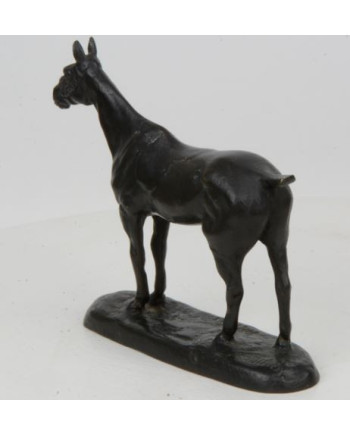 Colibri - Gaston d'Illiers