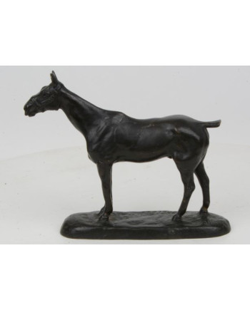 Colibri - Gaston d'Illiers