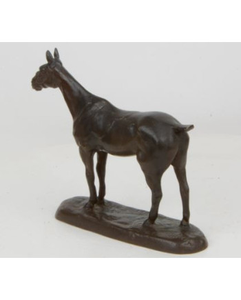 Colibri - Gaston d'Illiers