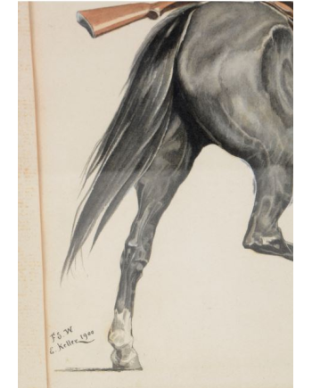 Mounted Kiwi Riffleman - E. Keller